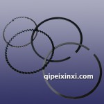 奇瑞活塞环