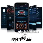 大众汽车远程启动